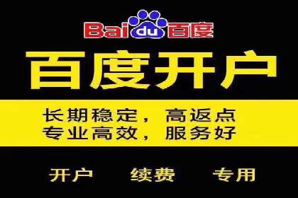 百度竞价赚钱技巧：实战案例分析